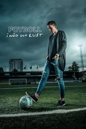 Fotboll i nöd och lust (2017)