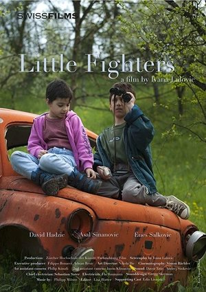 Poster Little Fighters (2010)