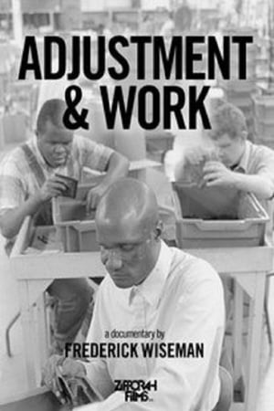 Adjustment & Work poster