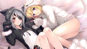 Infinite Stratos ( 2011 )