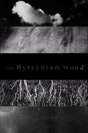 Poster The Hyrcynium Wood (2005)