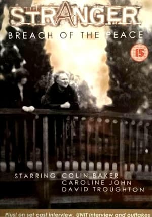 The Stranger: Breach of the Peace 1994