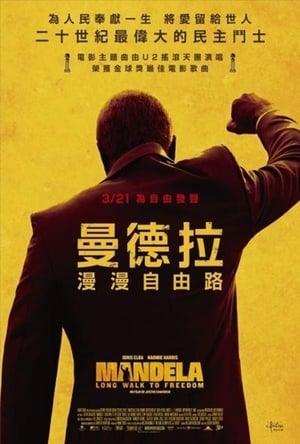 Poster 曼德拉 2013