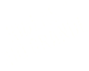 Riders of the Rio Grande