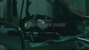 Image EYES IN THE DARK