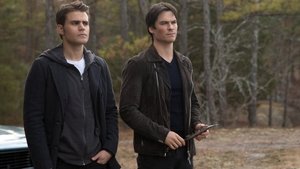 The Vampire Diaries