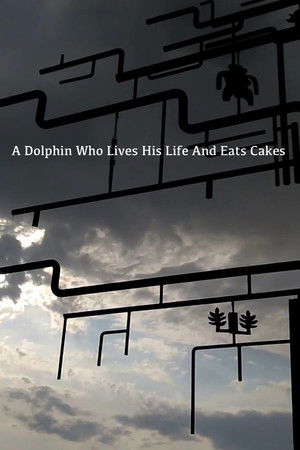 A Dolphin Who Lives His Life And Eats Cakes