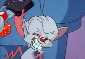 Pinky and the Brain TV or Not TV