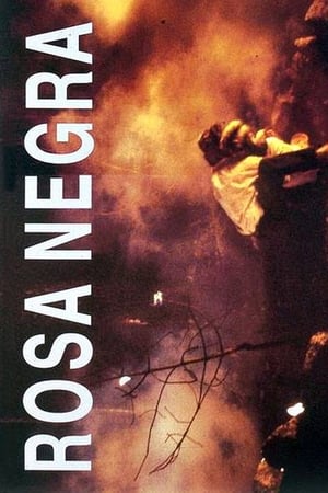 Poster Rosa Negra 1993