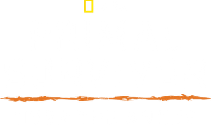 Primal Survivor: Over the Andes