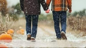 Snow Falling on Pumpkins