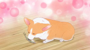 The Corgi and the Samurai: 1×8