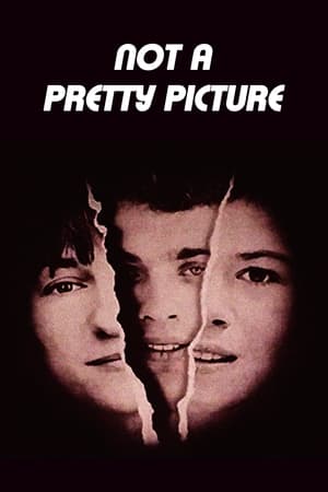 Poster Not a Pretty Picture (1976)