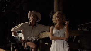 Images posters