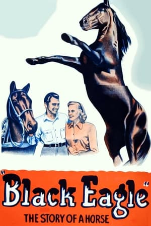 Poster Black Eagle 1948