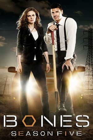 Bones: Temporada 5