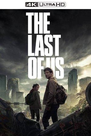 poster The Last of Us - Season 1 Episode 5 : Endure and Survive
