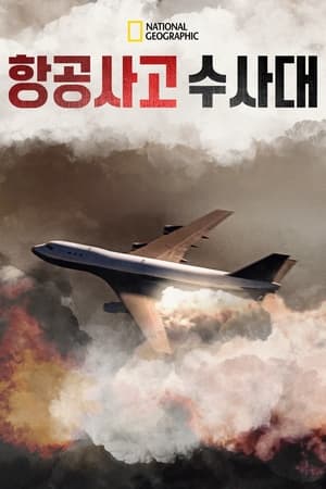 Poster 항공 사고 수사대 2003