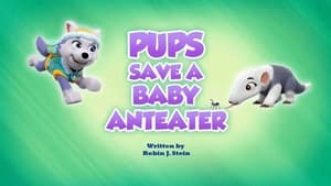 Image Pups Save a Baby Anteater