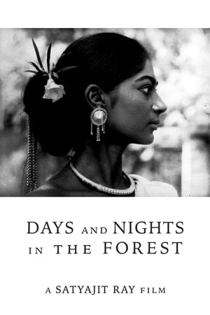 Poster Days and Nights in the Forest 1970