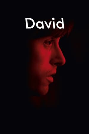 Poster David - Diventare se stessi 2015