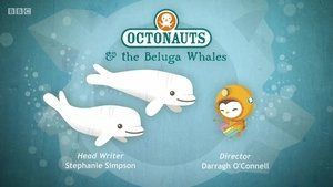 The Octonauts Season 1 Episode 26