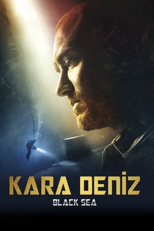 Poster Kara Deniz 2014