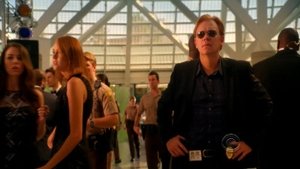 CSI: Miami 8 – 9