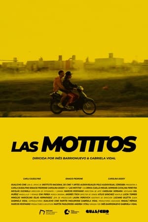 Poster Las motitos 2020