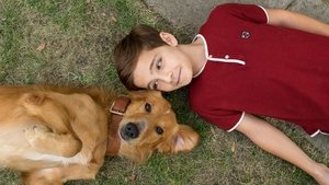 A Dog’s Purpose (Tu mejor amigo)