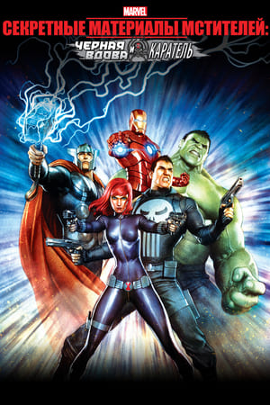 Poster Секретные материалы Мстителей: Черная Вдова и Каратель 2014
