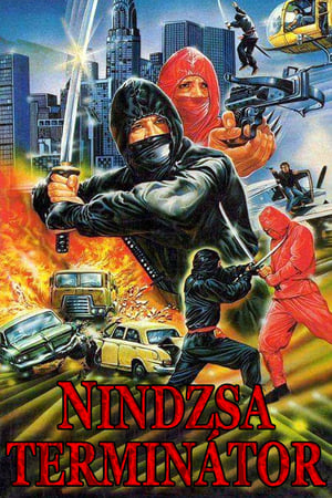 Poster Nindzsa terminátor 1985