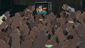 Pom Poko – A tanukik birodalma