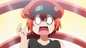 Hataraku Saibou: 1×11