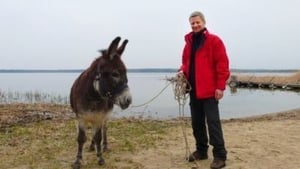 Mit dem Esel zur Ostsee (3)