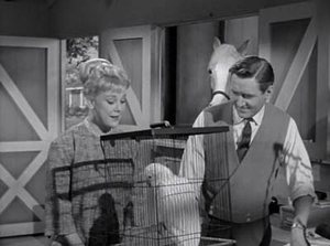 Mr. Ed: 3×24