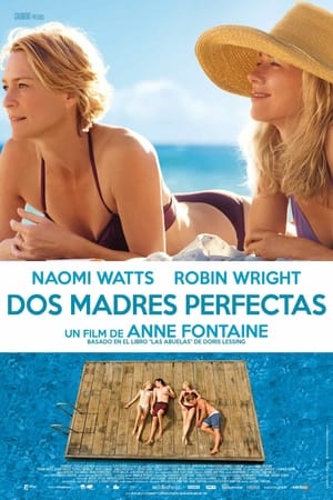 Poster Dos madres perfectas 2013