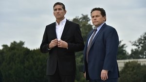 Vigilados, Person of Interest: 5×11