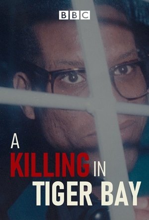 Poster A Killing in Tiger Bay 2021