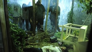 Zombie Night (2013) Hindi Dubbed