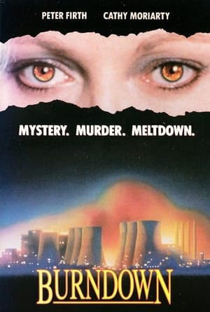 Poster Burndown (1990)