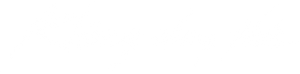Ảnh 48