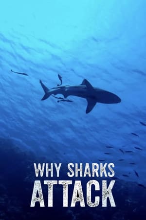 Poster Why Sharks Attack (2023)