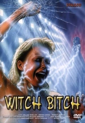 Poster Witch Bitch - Tod aus dem Jenseits 1988
