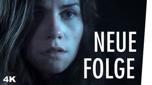 Lmdsjkkcpy9vq2oltq3zsitrvlq