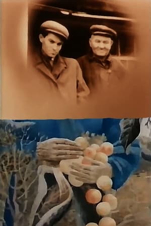 Poster In the white cold the sun of Ukraine (1992)