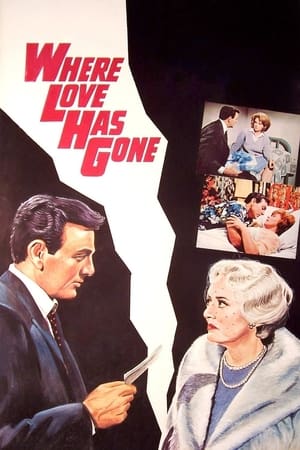 Where Love Has Gone poster