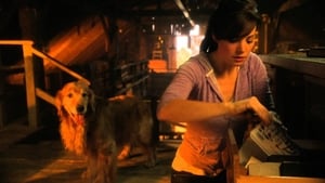 Smallville S10E08