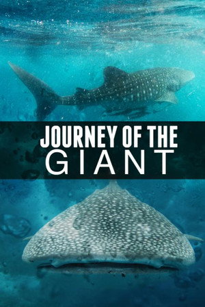 Journey of the Giant 2