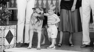 Animals